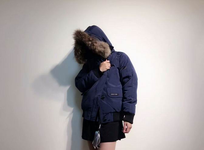 canada goose-010